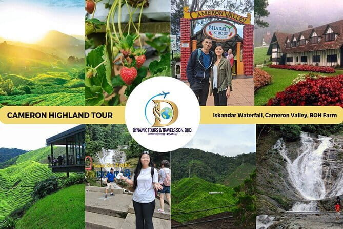 Shared Fireflies Tour with Blue Tears and Seafood Dinner - Authentic and Knowledgeable Guides
