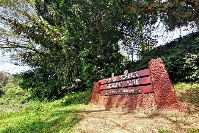Shared Full Day Taman Negara Trekking Tour - Exploring the Shared Full Day Taman Negara Trekking Tour: An Honest Review