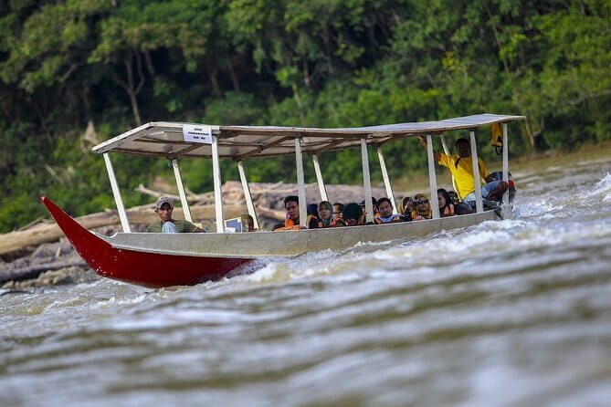 Shared Full Day Taman Negara Trekking Tour - A Deep Dive into the Taman Negara Experience