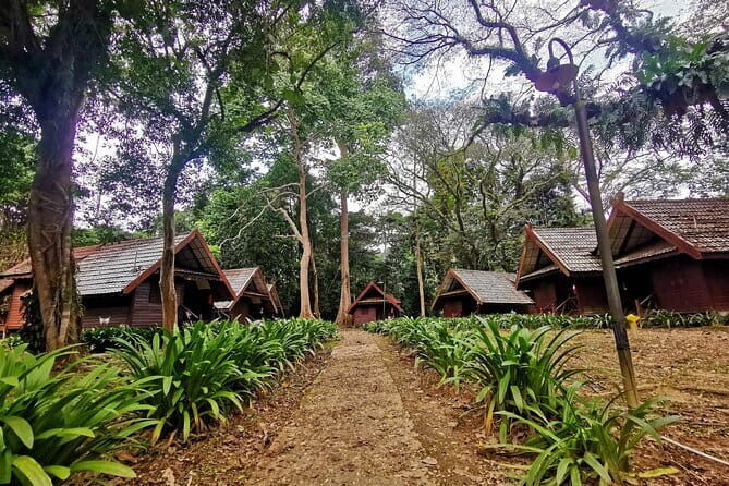 Shared Full Day Taman Negara Trekking Tour - FAQ