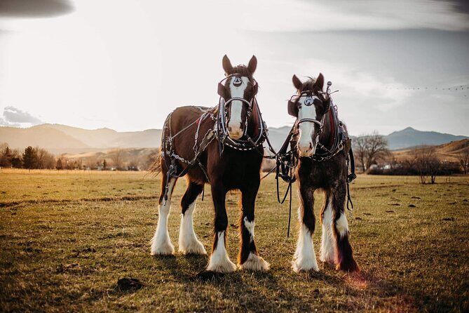 Shared Golden's History Wagon Ride Tour in Colorado - An In-Depth Look at the Golden’s History Wagon Ride