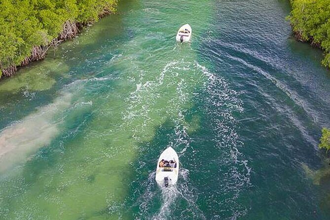 Shared Jungle Speed Boat Tour in Cancun - A Closer Look at the Itinerary