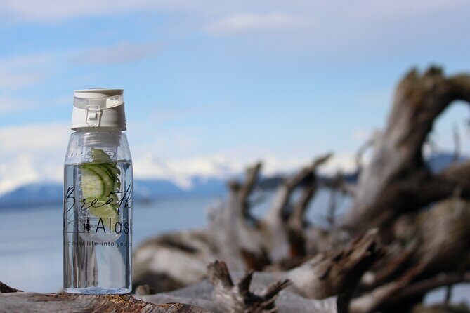 Shared Mindfulness in Wilderness Tour From Alaska - A Deep Dive into the Juneau Mindfulness Tour