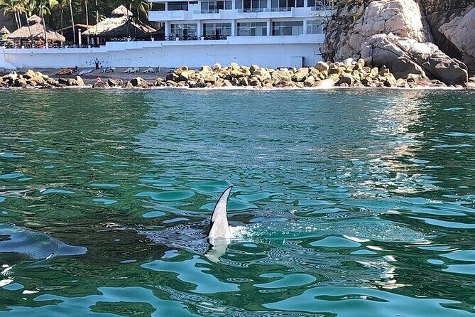 Shared Puerto Vallarta City Tour By The Sea aboard Bruna - Key Points