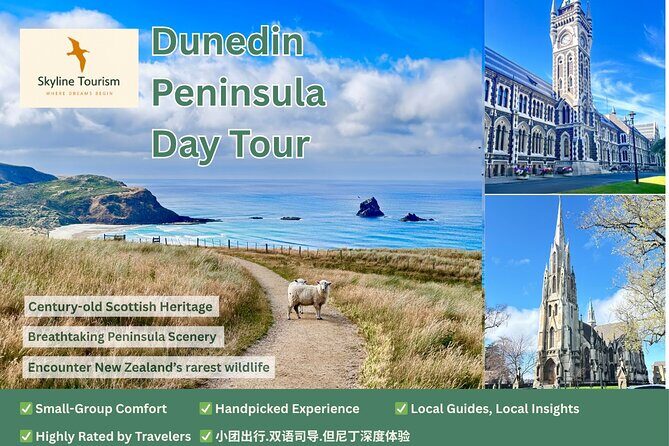 Shared Small Group Dunedin City and Peninsula Scenery Day Tour - In-Depth Look at the Tour Experience