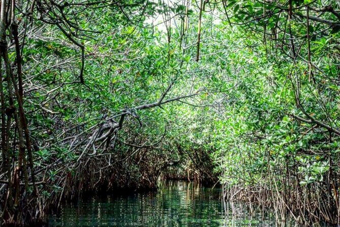 Shared Speedboat and Snorkeling Adventure in Cancun - Final Thoughts