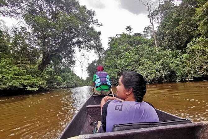 Shared Taman Negara Nature Tour with Lata Berkoh Falls - Discovering the Taman Negara Experience: An Honest Review of the Shared Nature Tour with Lata Berkoh Falls