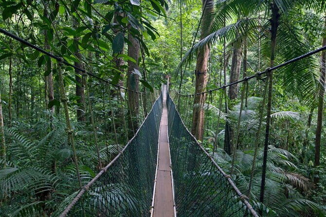 Shared Taman Negara Nature Tour with Lata Berkoh Falls - Key Points