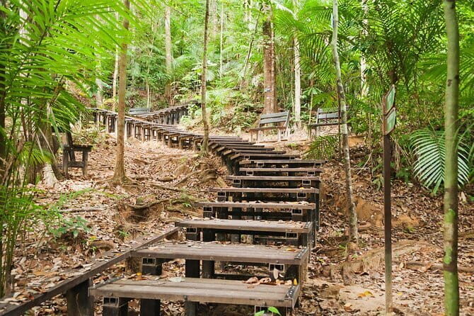 Shared Taman Negara Nature Tour with Lata Berkoh Falls - The Canopy Walk: A Bird’s Eye View of the Rainforest