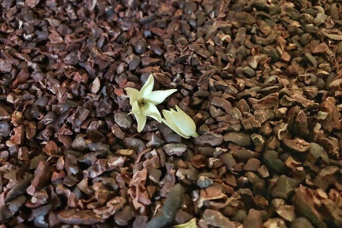 Shared Tour by Minivan or Car from Syracuse to Ragusa, Noto and Modica - The Value for Money