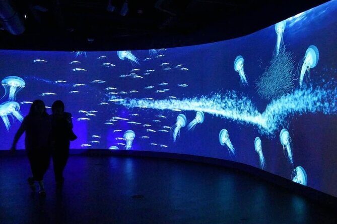 Shared Tour in Miami with Transfer - An In-Depth Look at the Miami Tour Experience