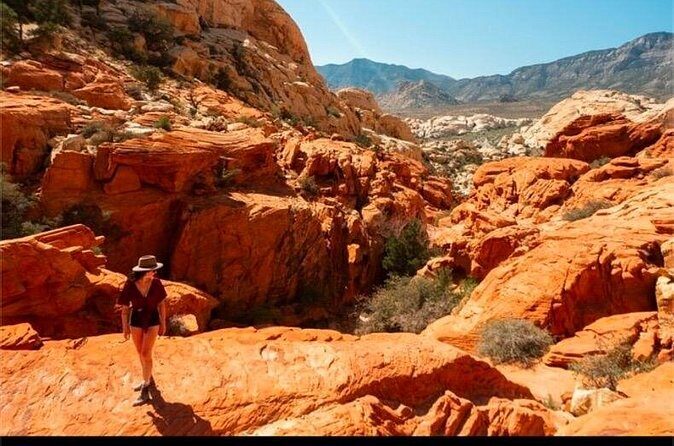 Shared Tour in Red Rock Canyon - Deep Dive into the Itinerary