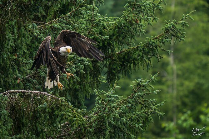 Shared Tour in Sitka with Meal - FAQ