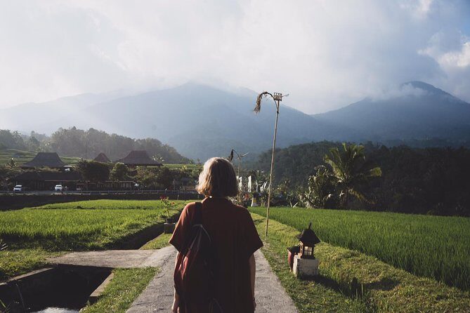 Shared Tour: Jatiluwih Rice Terraces - Ulun Danu Temple - Banyumala Waterfalls - Introduction to the Tour Experience