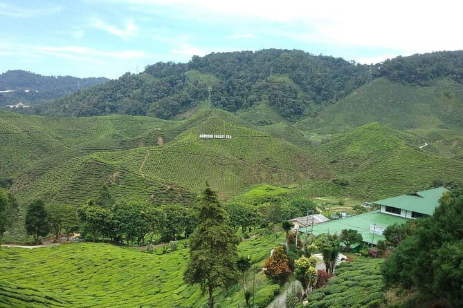 Shared Transfer : Cameron Highland to Taman Negara via Kuala Tembeling Jetty - FAQ
