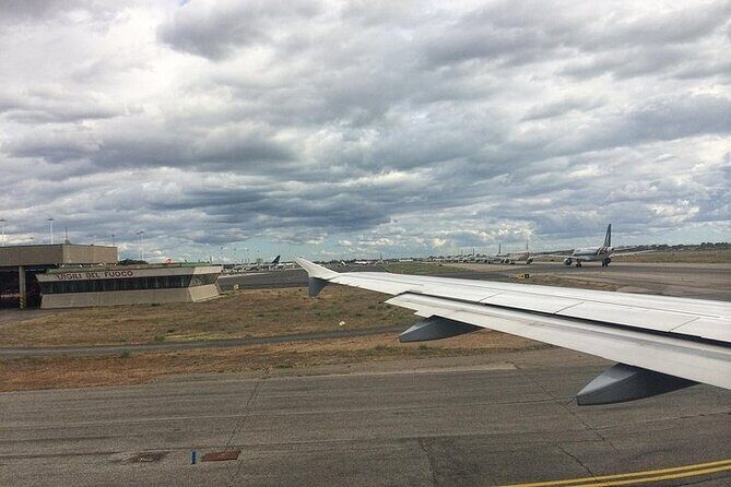 Shared Transfer From Civitavecchia Port to Rome - Transportation Details and Comfort