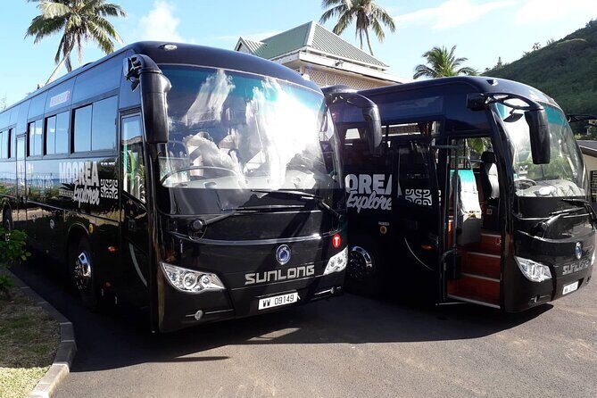 Shared Transfer : Hotel to Moorea Airport (or) Pier - Why Choose This Transfer Service?