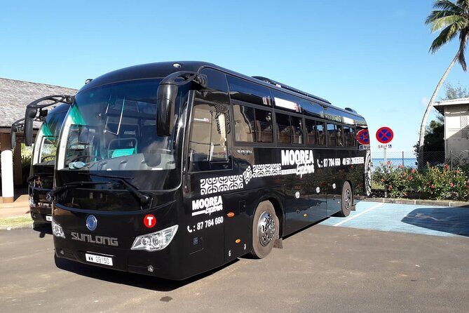Shared Transfer : Hotel to Moorea Airport (or) Pier - Practicality and Convenience