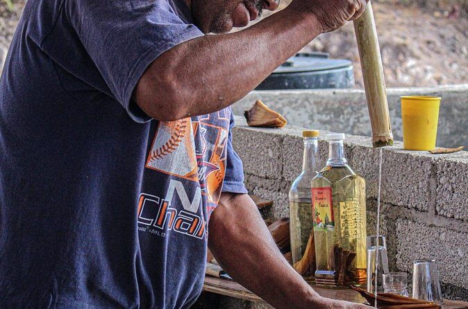 Shared Zapotec Highlights Tour in Oaxaca - The Sum Up