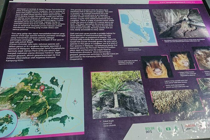 Sharing Half Day Mangrove Boat Tour With Lunch in Langkawi - An In-Depth Review of the Langkawi Mangrove Boat Tour