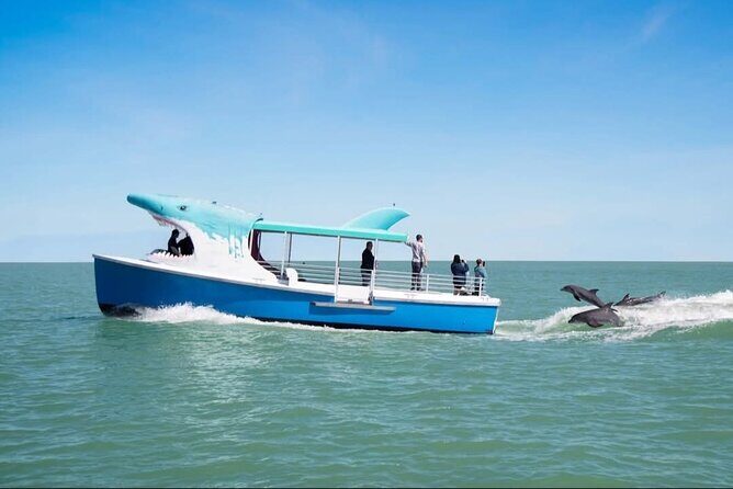 Shark Boat Destin Daytime Dolphin Watch and Sunset Cruise - An In-Depth Look at the Shark Boat Experience