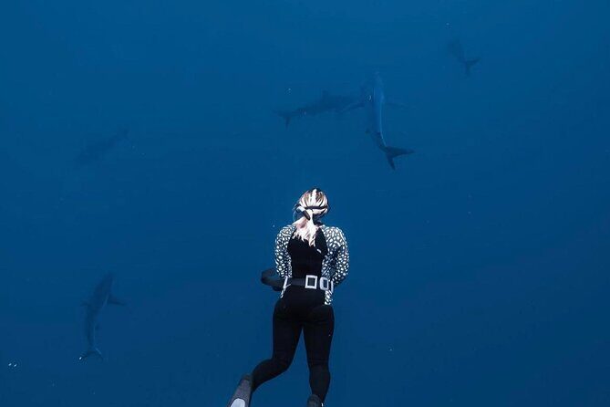Shark Diving and Snorkeling in Oahu Hawaii - The Experience: Authenticity and Atmosphere