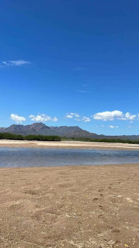 Shark Island: Tour of the largest island in Mexico - The Sum Up