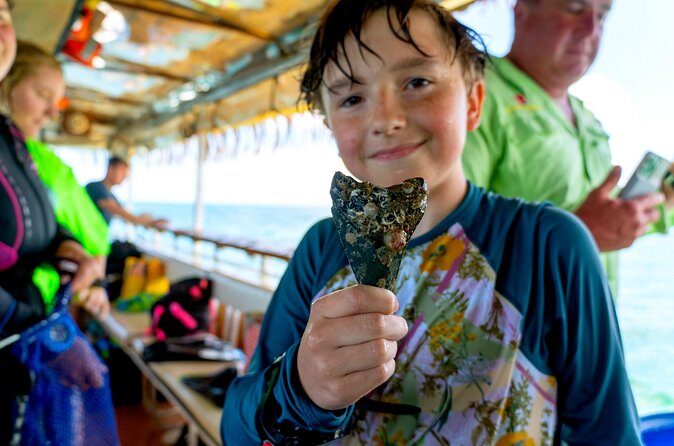 Shark Tooth Snorkeling Adventure and Huka Dive in Venice Florida - The Pros and Cons from Traveler Feedback