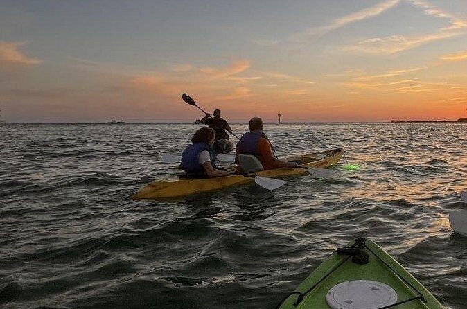 Sharkeys Glass Bottom Fish Feeding LED Night Tour Key West - What You Can Expect from Sharkeys’ Nighttime Glass Bottom Kayak Tour