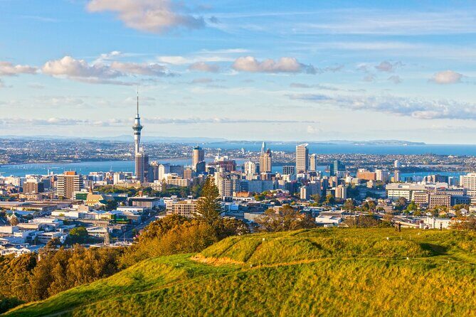 Sheep Shearing and Auckland City Highlights Tour with Lunch - FAQs