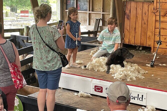 Sheep World Country Tour from Auckland - The Sum Up: Who Should Consider This Tour?