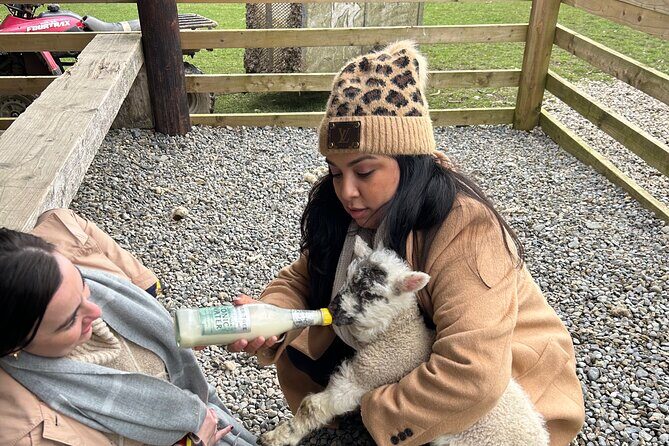 Sheepdogs in the countryside, authentic Dubliners city tour combo - FAQ