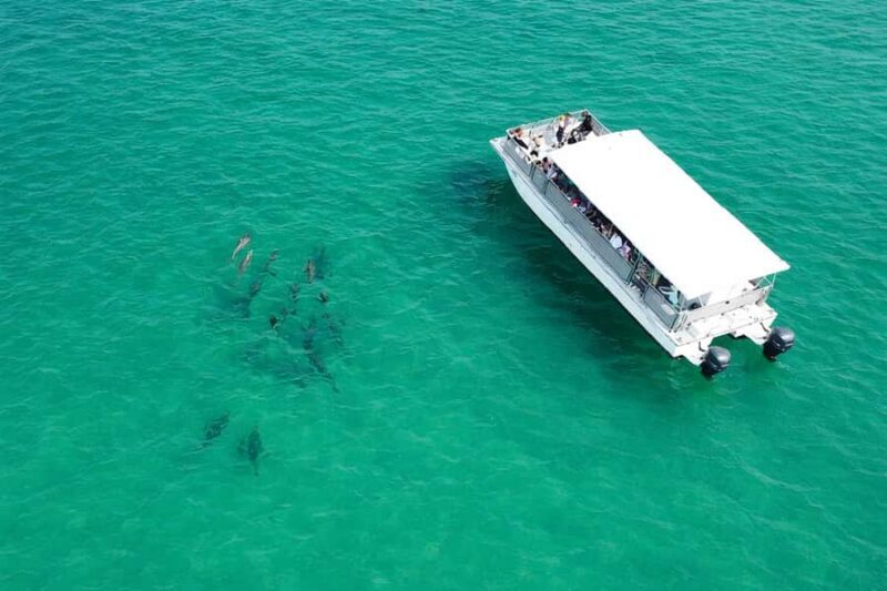 Shell Island Nature & Marine Viewing Tour - Shell Island Nature & Marine Viewing Tour: An Authentic Florida Coastal Experience