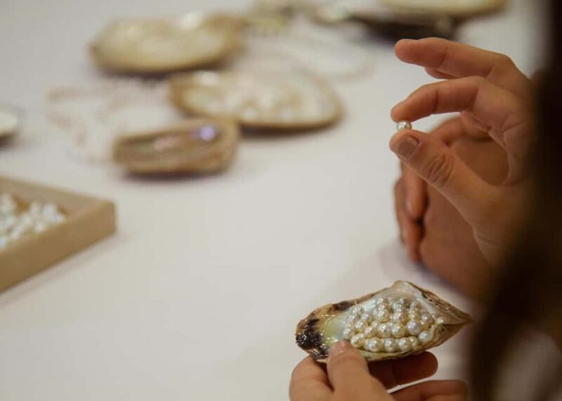 Shell to Showroom - Sydney's only Pearl Farm Experience - Who Will Love This Tour?