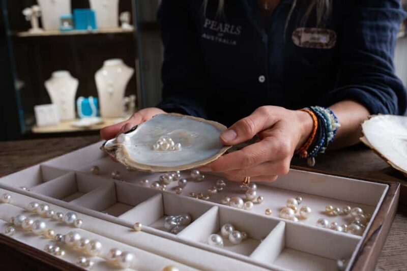 Shell to Showroom - Sydney's only Pearl Farm Experience - The Sum Up
