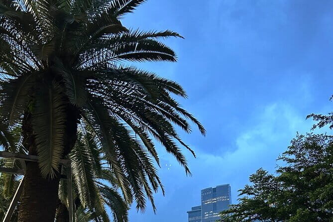 Shenzhen Private Customized Shopping Tour - In-Depth Review of the Shenzhen Private Customized Shopping Tour