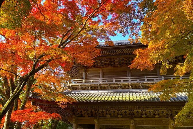 Shiga Autumn Experience Shopping and Ropeway Bus Tour from Kyoto - The Itinerary Breakdown: What You Can Expect