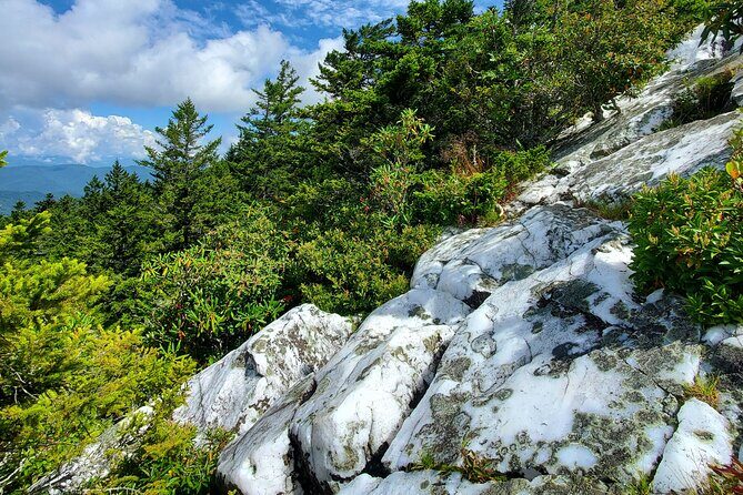 Shining Rock Guided Tour - The Sum Up