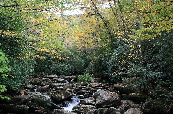 Shining Rock Guided Tour - FAQ