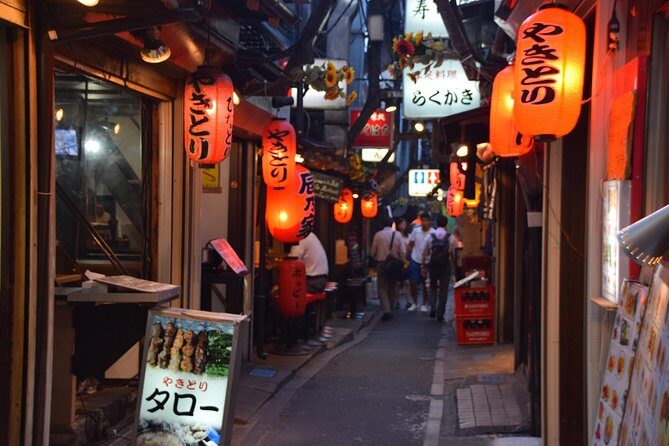 Shinjuku Izakaya and Golden Gai Bar Hopping Tour - In-Depth Review of the Shinjuku Izakaya and Golden Gai Bar Hopping Tour