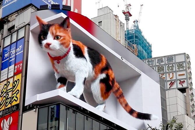 Shinjuku Night Tour and Explore Tokyo Neon Wonderland - A Deep Dive into the Shinjuku Night Tour Experience