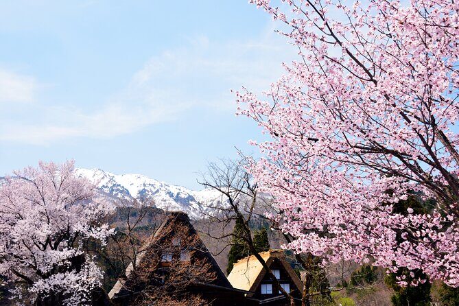 Shirakawa-go from Takayama/Nagoya One day Bus ticket - Who Will Love This Tour?