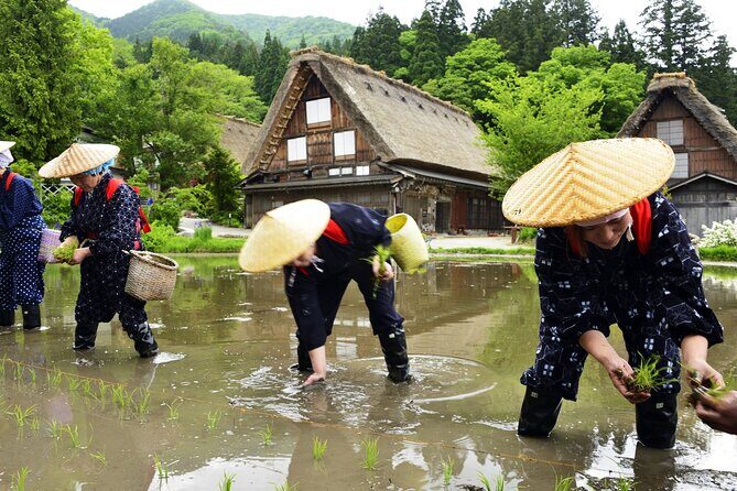 Shirakawago Day Trip: Government Licensed Guide & Vehicle from Takayama - Introducing the Shirakawago Day Trip from Takayama