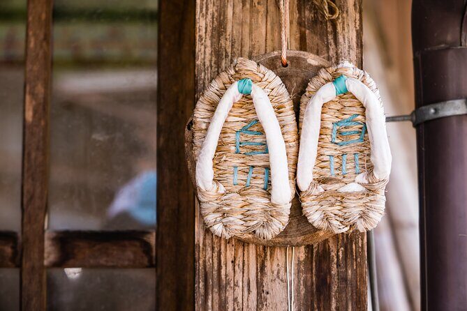 Shirakawago Day Trip: Government Licensed Guide & Vehicle from Takayama - Practical Tips for Booking and Enjoying the Tour