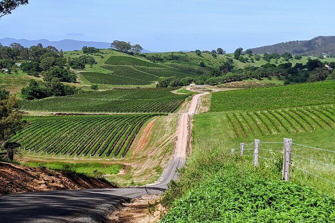 Shire Shuttle Bus's Shoalhaven Coast Wine Tour - An In-Depth Look at the Shoalhaven Coast Wine Tour
