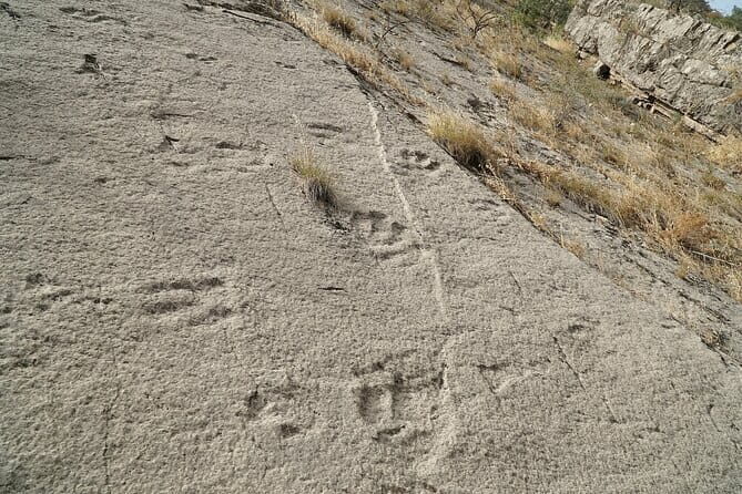 Shirkent Park, Dinosaur Tracking, One-Day tour - Exploring Shirkent Gorge and Dinosaur Footprints