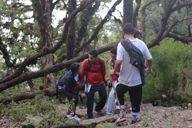 Shivapuri Day Hiking - The Sum Up: Is the Shivapuri Day Hiking Worth It?