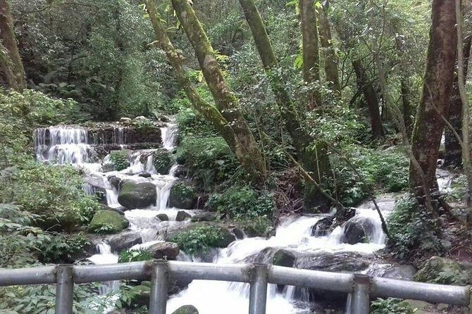 Shivapuri Hill Day Tour - Practical Tips for the Tour