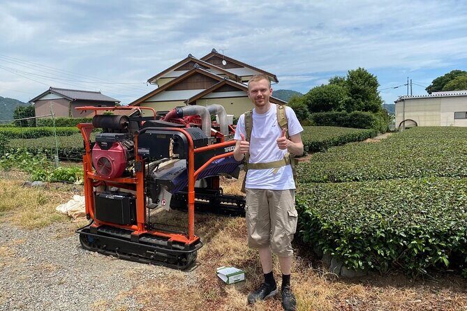 Shizuoka Tea Picking Private Experience - An In-Depth Look at the Experience