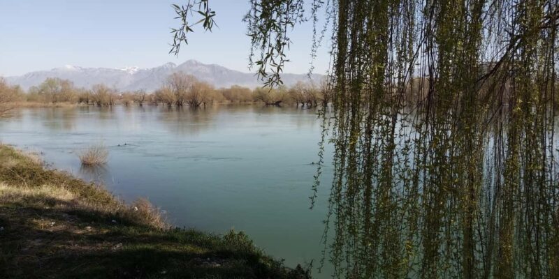 Shkodër Culinary & Wellness Experience  Hidden Gems - Key Points